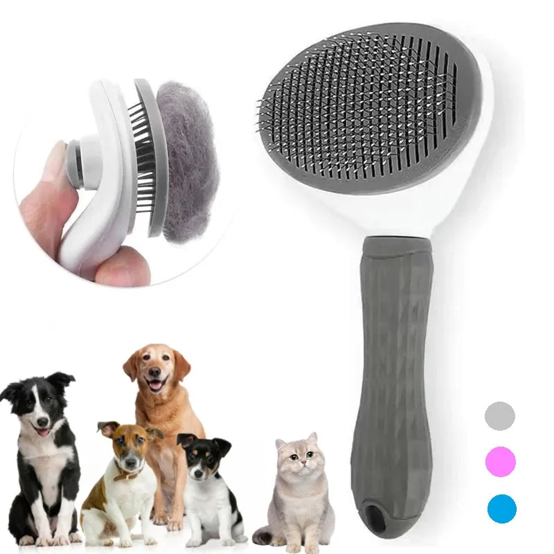 Dog Essentials