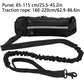 High Visibility Hands-Free Dog Leash Pet Leash Reflective with Waist Bag Retractable Elastic for Running&Walking Pet Supplies HD